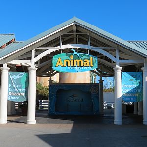 Animal Connections - Exterior