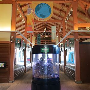 Animal Connections - Interior