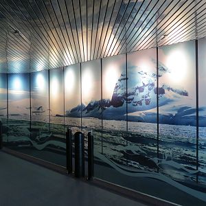 Penguin Encounter - Entrance