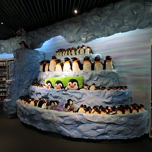 Penguin Encounter - Shop