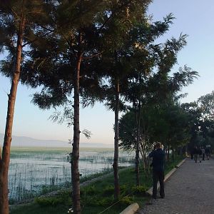 Lake Hawassa, 17/10/14