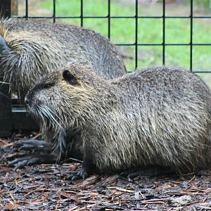 Don't want to hear it