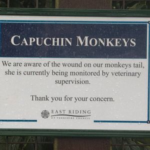 Signage, 8th November 2014