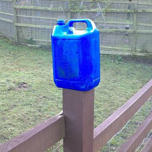 Awaiting KeeperKatie, 9th November 2014