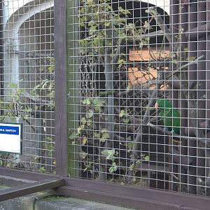 Eckie is back home, 10th November 2014