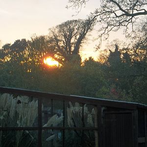 Sunset over Polytelis Paradise, 10th November 2014