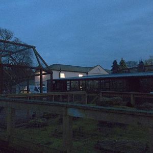 Looking across to the new Zoo Office and Staff Room, 10th November 2014