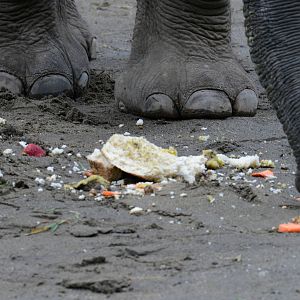 Birthday cake for Shree 3