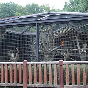 Proboscis monkey exhibit