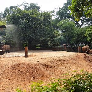 Rhino exhibit -2011