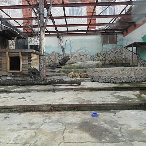 Lion exhibit (1 of 2)