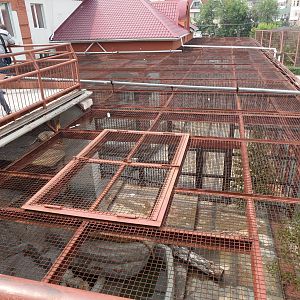 Big cat exhibits, view from above