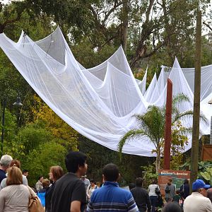 Canopy - LA Zoo Lights?