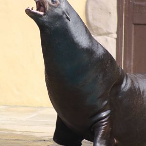 Clive, 30th September 2014