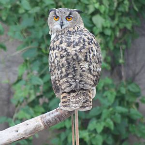 Neo, 30th September 2014