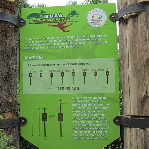 ruta orangutan sign guadalajara zoo