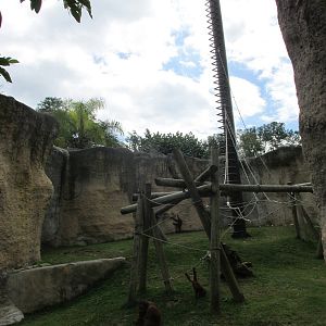 ruta orangutan  guadalajara zoo