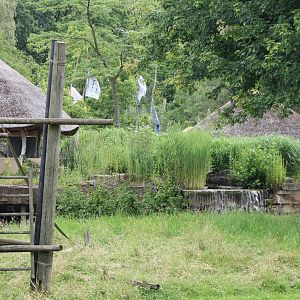 Part of the Bonobo enclosure