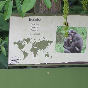 Sign Bonobo