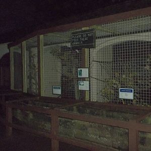 A final look before leaving for the evening, 14th November 2014