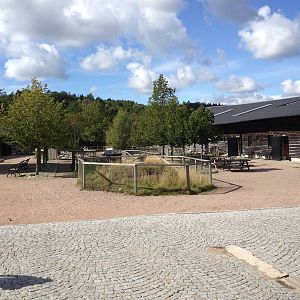 The Farm - Main buildings