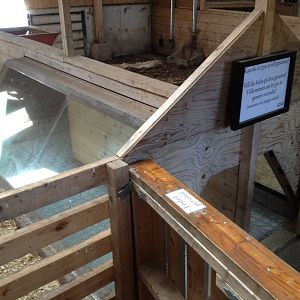 The Farm - Linder?ds pigs indoor exhibit.