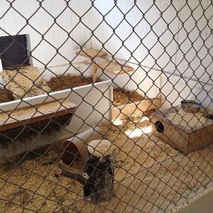 The Farm - Rabbit indoor exhibit