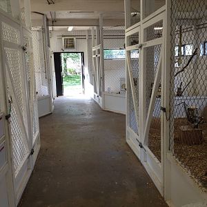 The Farm - Fowls indoor exhibits.