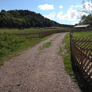 The Farm - View of paddocks