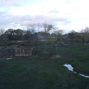 View off the monorail towards the Old Rhino House