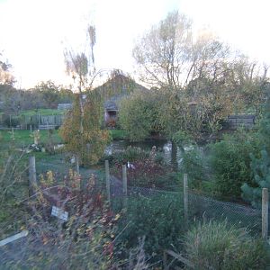 View off the monorail over the Crane enclosures