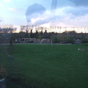 View off the monorail towards the Aardvarks