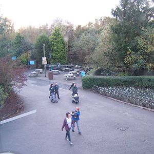 View off the monorail towards the canal boat jetty