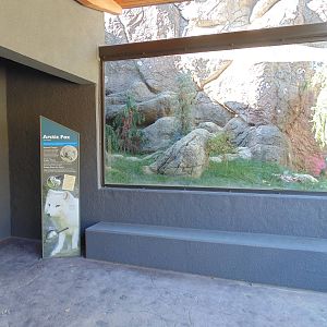 New Arctic Fox Exhibit