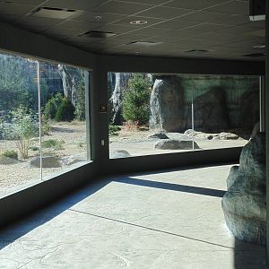 New Polar Bear Exhibit