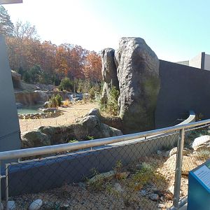 New Polar Bear Exhibit