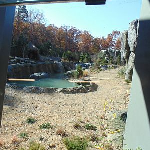 New Polar Bear Exhibit