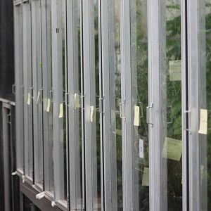 Caterpillar raising enclosures