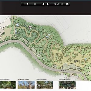 Africa Rocks Concept Map