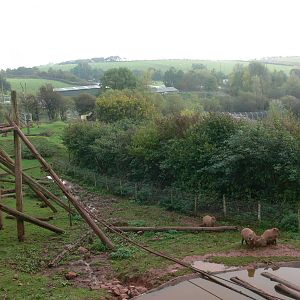 South American Exhibit at South Lakes, 11/10/14