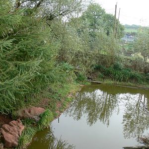 Otter Exhibit at South Lakes, 11/10/14