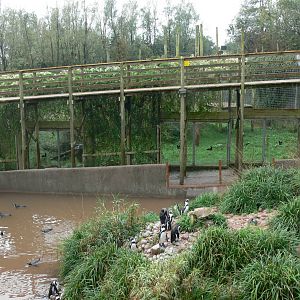General View at South Lakes, 11/10/14
