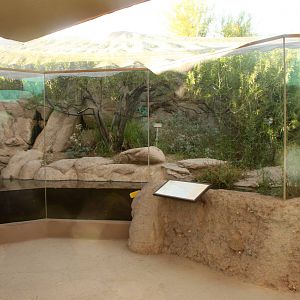 Bird, Amphibian, and Fish Exhibit