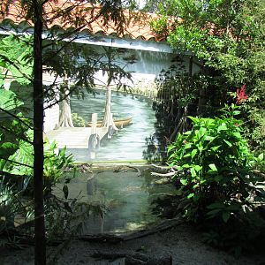 Juvenile Alligator Exhibit
