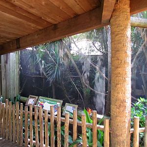 Toco Toucan and Cotton-top Tamarin Exhibit