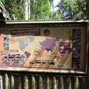 Crocodilians of the World