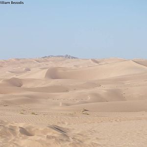 Saudi Desert