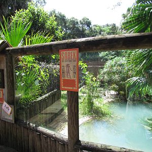 Nile Crocodile (closed for renovations)