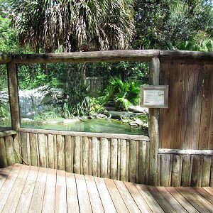 Indian Gharial Exhibit