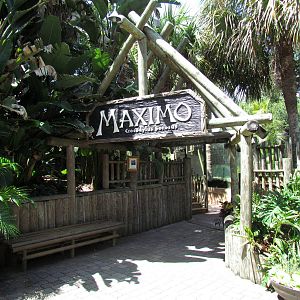 Maximo